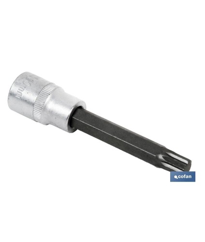 Llave de vaso de 1/2 | Fabricada en acero al cromo vanadio de alta calidad | Con punta larga Torx desde 20 hasta 55