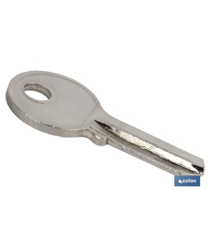 LLave Bruto Candado 25 MM