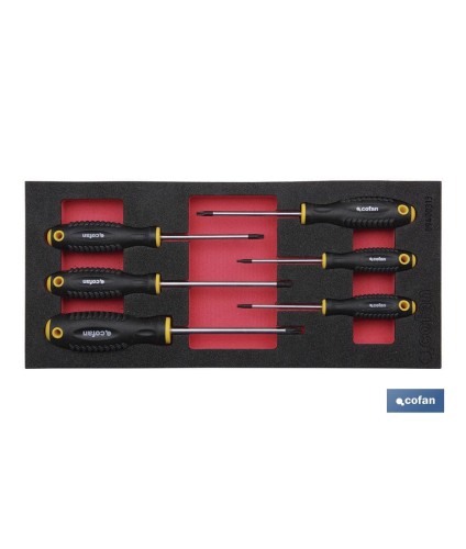 Módulo de espuma con herramientas  | Para 1/3 cajón del carro de herramientas cofan | Destornilladores torx 6 piezas