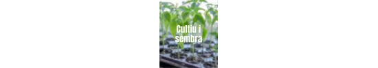 Cultivo y Siembra