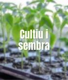 Cultivo y Siembra