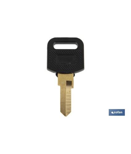 Llave en bruto adecuada para los buzones Cofan