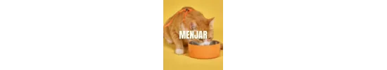 Comida para gato