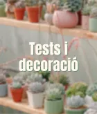 Testos i Decoració