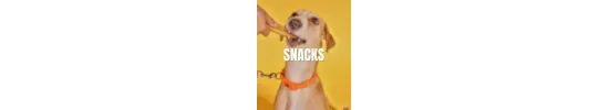 Snacks para perro