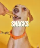 Snacks per a gos