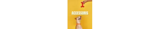 Accesorios para perro