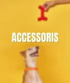 Accesoris per a gos