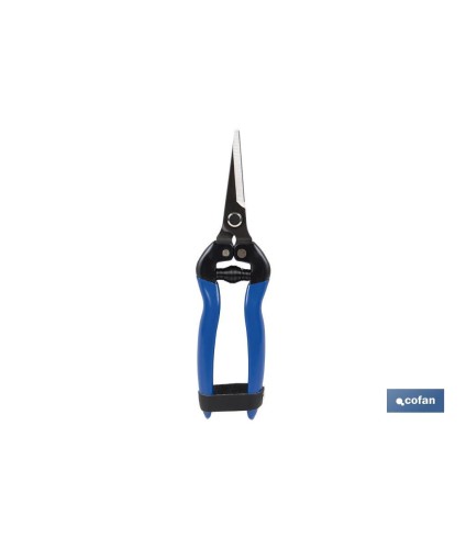 Tijeras de recolección con punta recta y longitud total de 185 mm | Especiales para jardinería