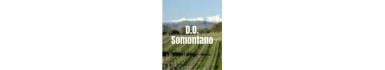 D.O. Somontano