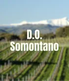 D.O. Somontano