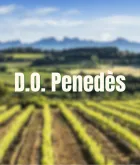 D.O. Penedès