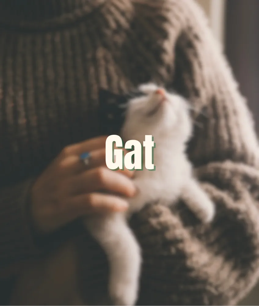 Gat